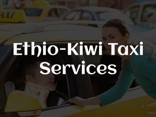 Ethiokiwi.com